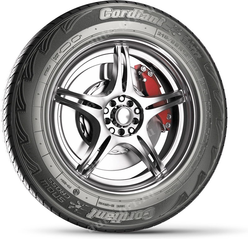 боковина. Легковые шины Cordiant Snow Cross 215/60R16