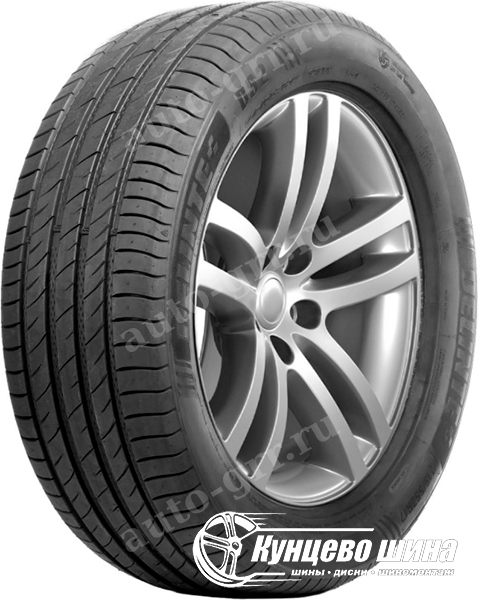 Легковые шины Delinte DS2 225/55R16