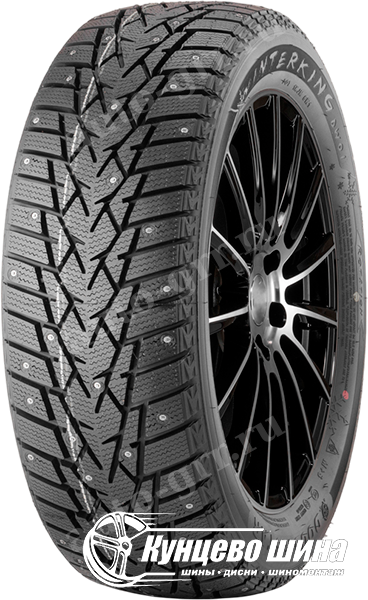 Легковые шины DoubleStar Winterking DW01 215/50R17
