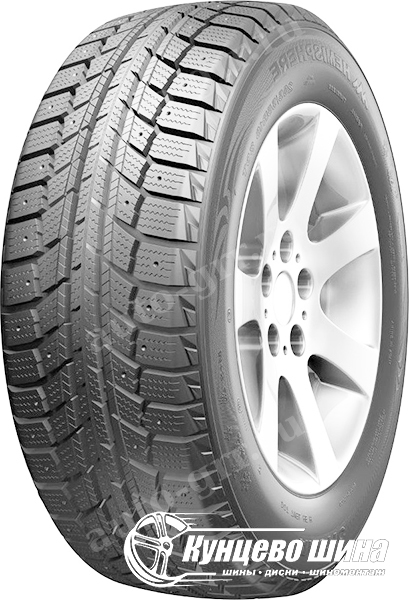 Легковые шины DoubleStar Winterking DW07 205/55R16