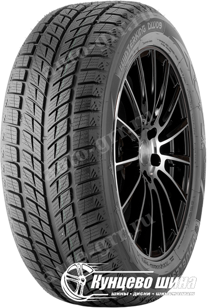 Легковые шины DoubleStar Winterking DW09 235/50R18
