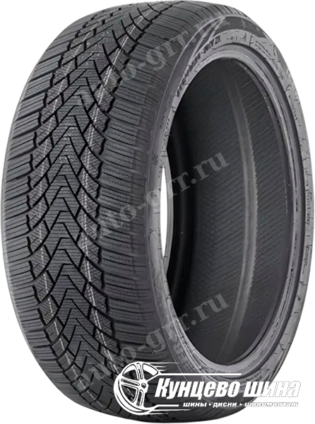 Легковые шины FronWay IceMaster I 205/45R17