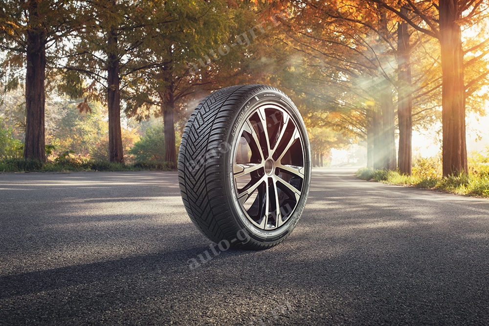 Легковые шины Hankook Kinergy 4S2 H750 225/55R19