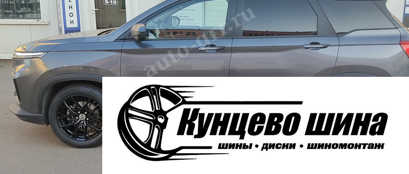 HMD 1295 + Ikon Tyres AutoGraph Aqua 3. Колесные диски HMD 1295 