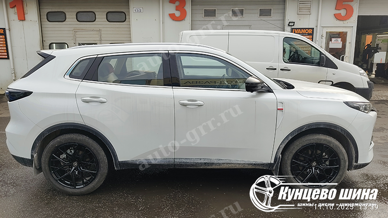 HMD 1295 + ChangGang UNI-S. 