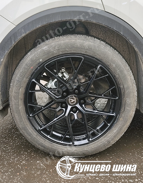 HMD 1295 + ChangGang UNI-S. 