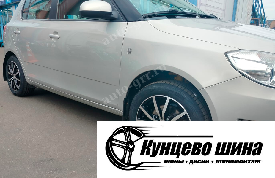 Carwel Бекан + Ikon Tyres Autograph Eco 3 + Scoda Fabia. Легковые шины Ikon Tyres Autograph Eco 3 195/65R15