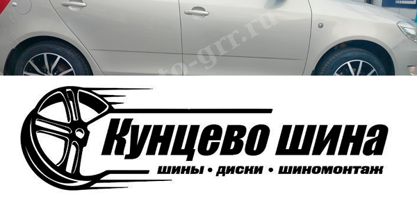 Carwel Бекан + Ikon Tyres Autograph Eco 3 + Scoda Fabia. Легковые шины Ikon Tyres Autograph Eco 3 195/65R15