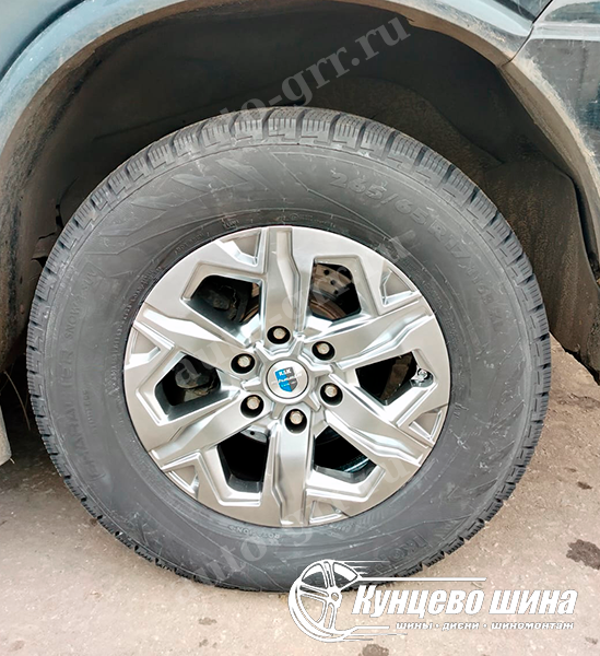 КиК Тейт (КС1050) + Ikon Tyres Character Snow 2. 