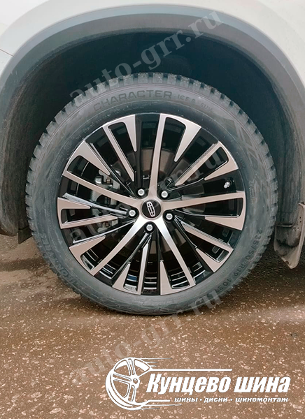 KoKo Kuture GXRF176 + Ikon Tyres Character Ice 8. 