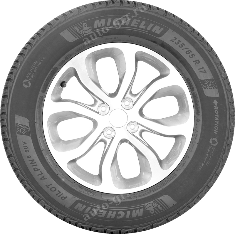 боковина. Легковые шины Michelin Pilot Alpin 5 255/45R18