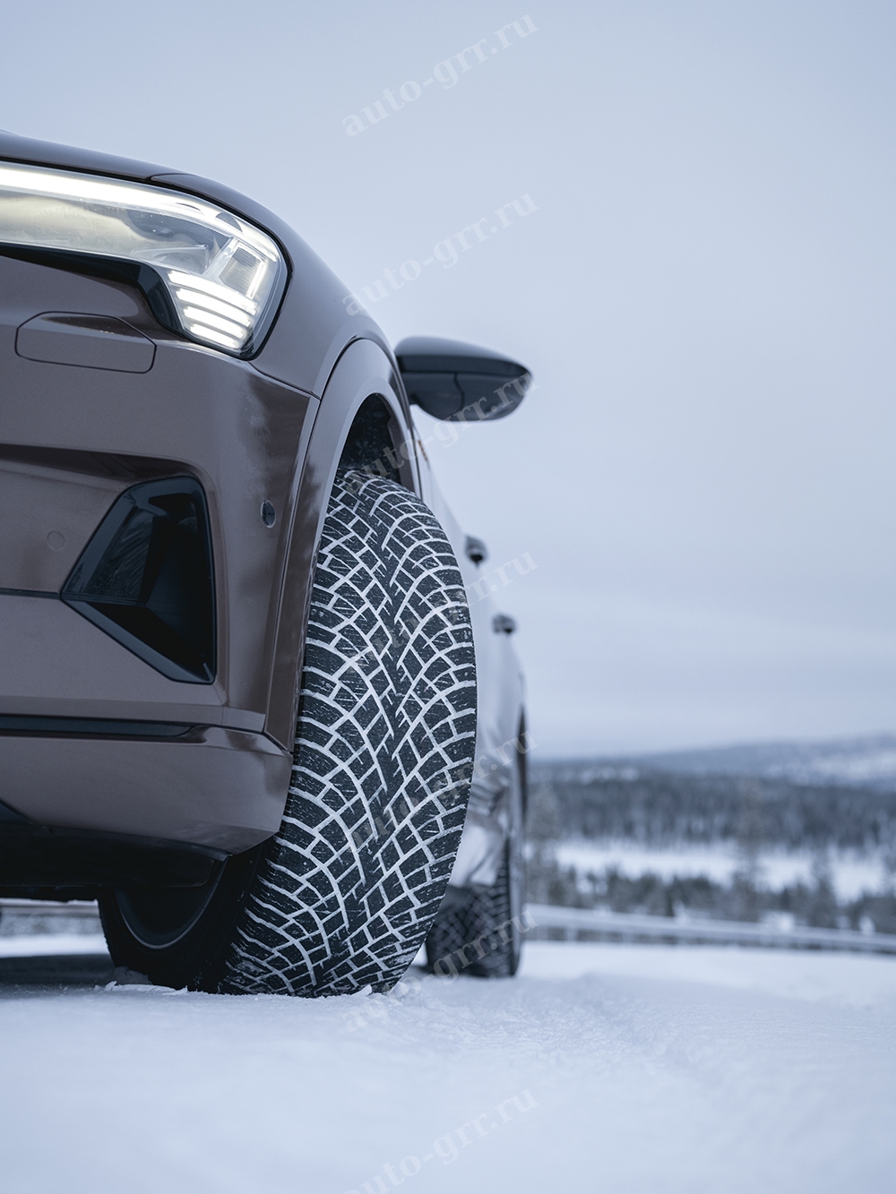 Легковые шины Nokian Hakkapeliitta R5 EV 295/40R21