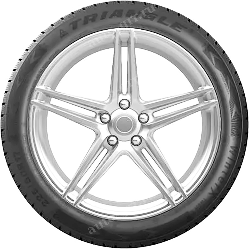 Вид сбоку. Легковые шины Triangle WinterX TW401 215/65R17